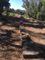 Carteia - cyrk Carteia - cyrk